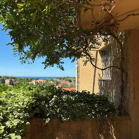 Charmante Maison Securisee Avec Piscine A Collioure - Fr-1-309-454 Exterior photo